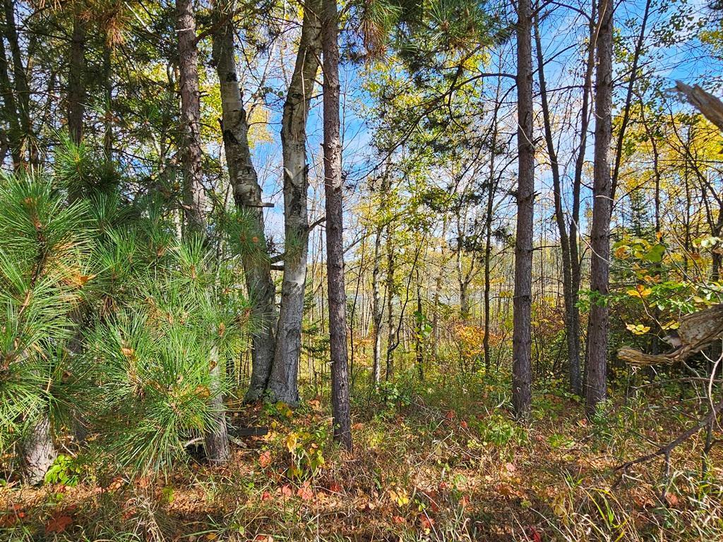 Lt 3 Blk 1 County Rd 238 Deer River MN 56636 - Little Moose Lake 6798269 image10