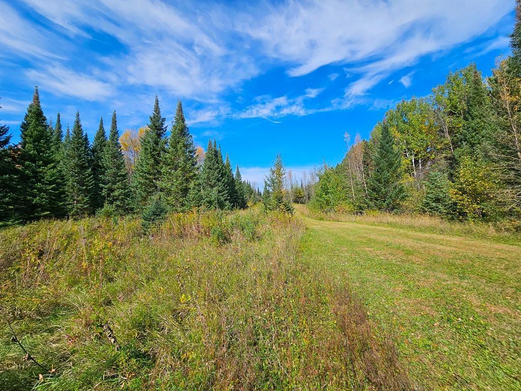 Lt 3 Blk 1 County Rd 238 Deer River MN 56636 - Little Moose Lake 6798269 image13