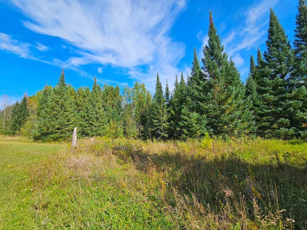 Lt 3 Blk 1 County Rd 238 Deer River MN 56636 - Little Moose Lake 6798269 image16
