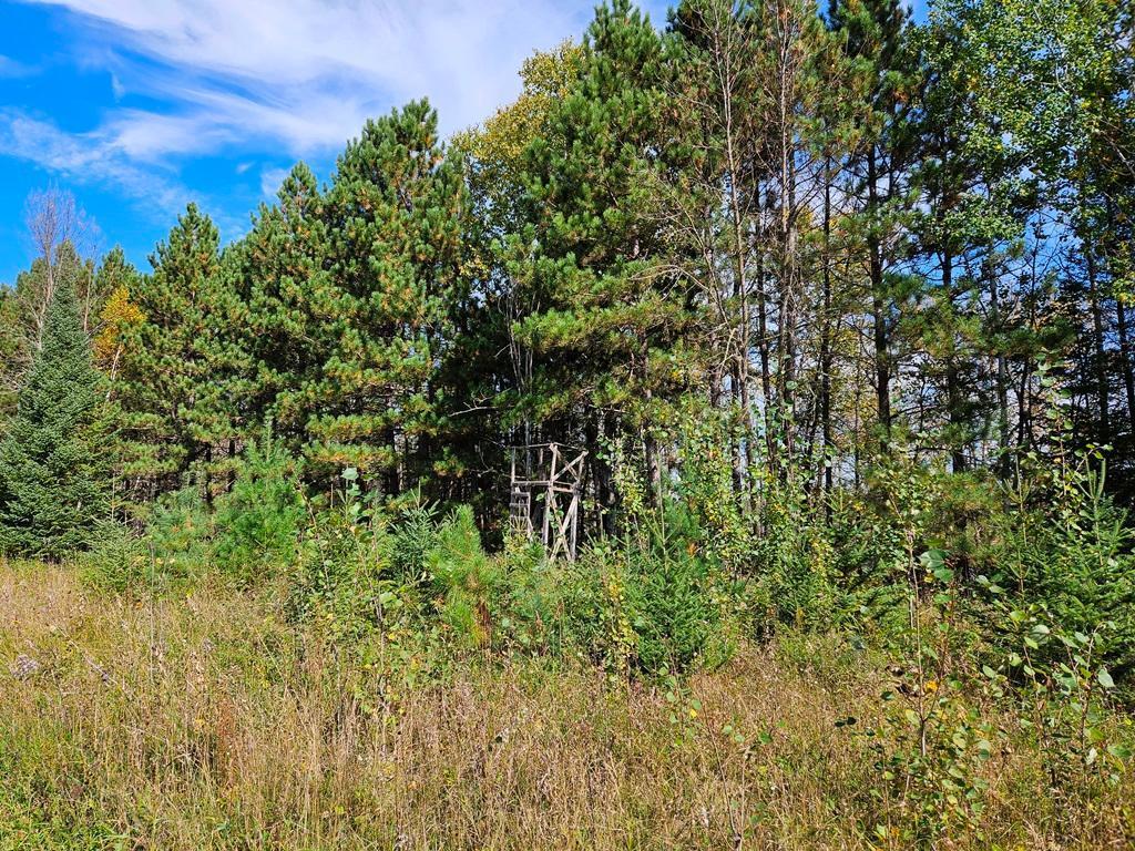 Lt 3 Blk 1 County Rd 238 Deer River MN 56636 - Little Moose Lake 6798269 image17
