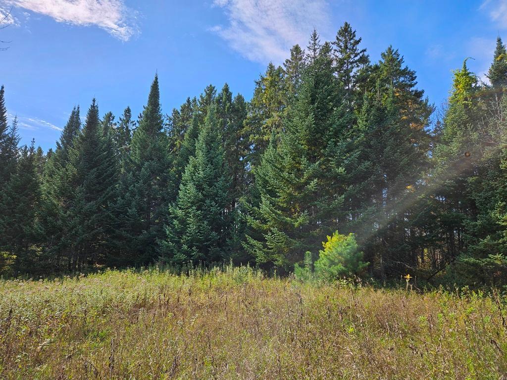 Lt 3 Blk 1 County Rd 238 Deer River MN 56636 - Little Moose Lake 6798269 image2