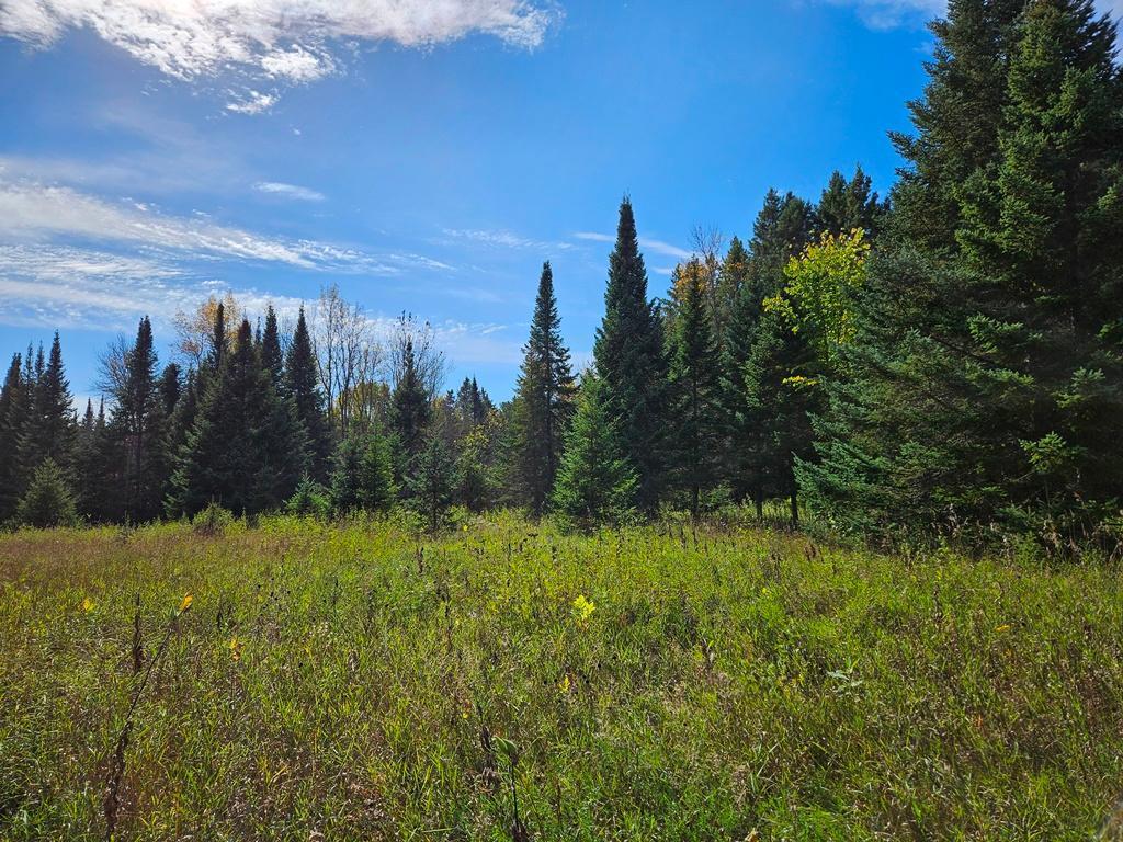 Lt 3 Blk 1 County Rd 238 Deer River MN 56636 - Little Moose Lake 6798269 image3