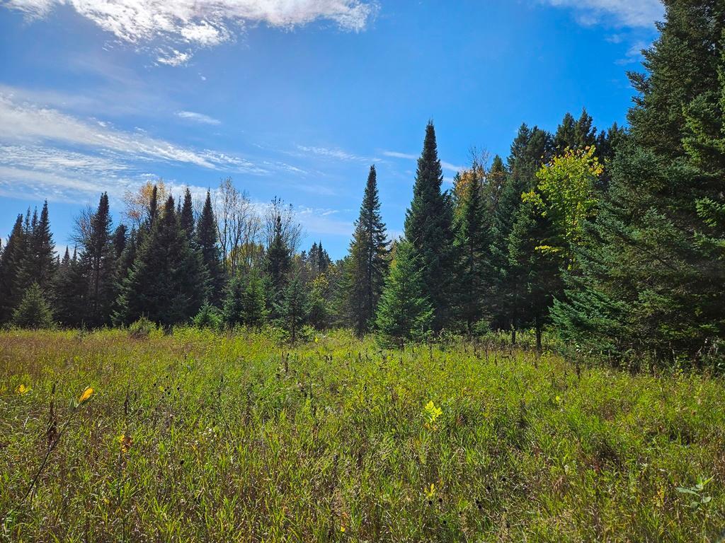 Lt 3 Blk 1 County Rd 238 Deer River MN 56636 - Little Moose Lake 6798269 image5