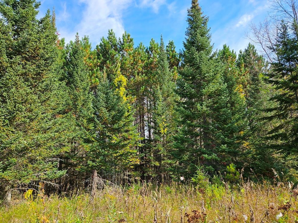 Lt 3 Blk 1 County Rd 238 Deer River MN 56636 - Little Moose Lake 6798269 image6