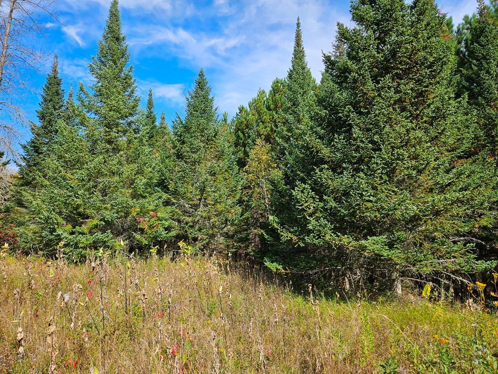 Lt 3 Blk 1 County Rd 238 Deer River MN 56636 - Little Moose Lake 6798269 image7