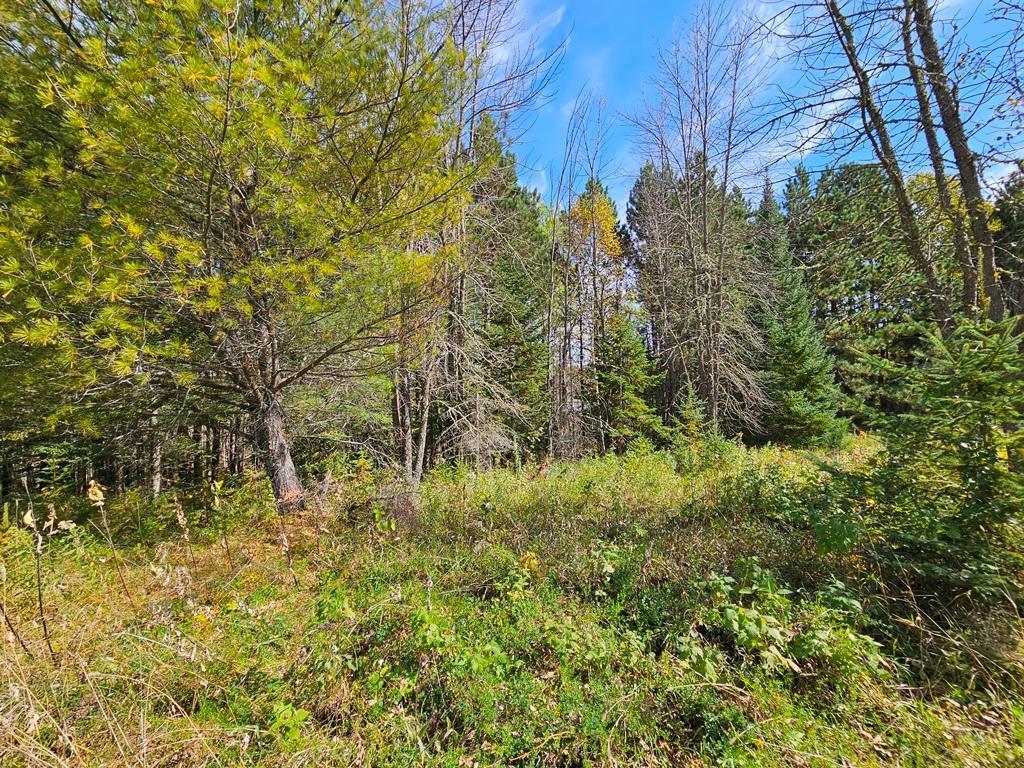 Lt 3 Blk 1 County Rd 238 Deer River MN 56636 - Little Moose Lake 6798269 image8