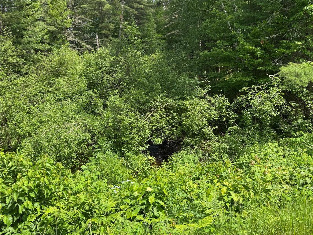 N 6398 Fred Tripp Road Stone Lake WI 54875 7089570 image14