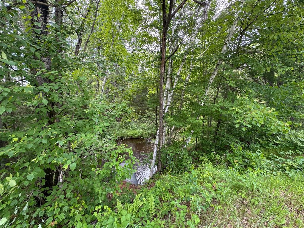 N 6398 Fred Tripp Road Stone Lake WI 54875 7089570 image16