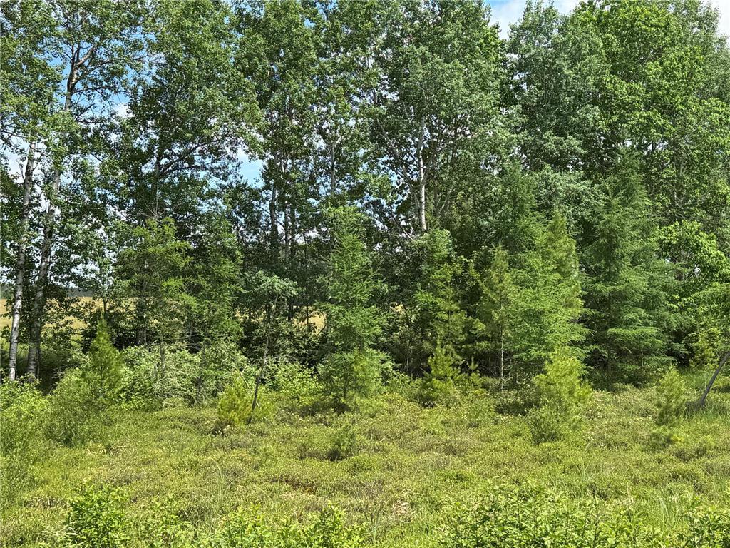 N 6398 Fred Tripp Road Stone Lake WI 54875 7089570 image26