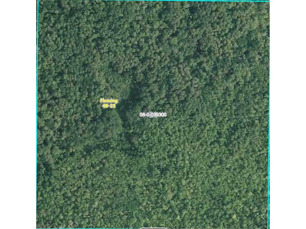 N/A N/A Fleming Twp MN 55760 6806223 image1