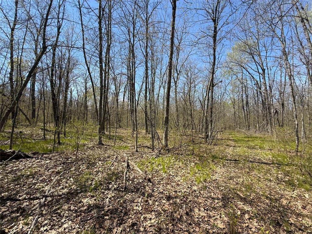 N10439 Tranus Lake Road Stinnett Twp WI 54875 - Tranus Lake 7072648 image10