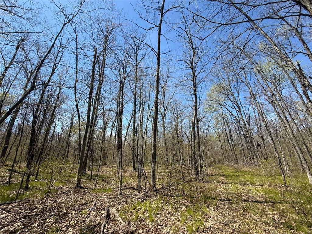 N10439 Tranus Lake Road Stinnett Twp WI 54875 - Tranus Lake 7072648 image11