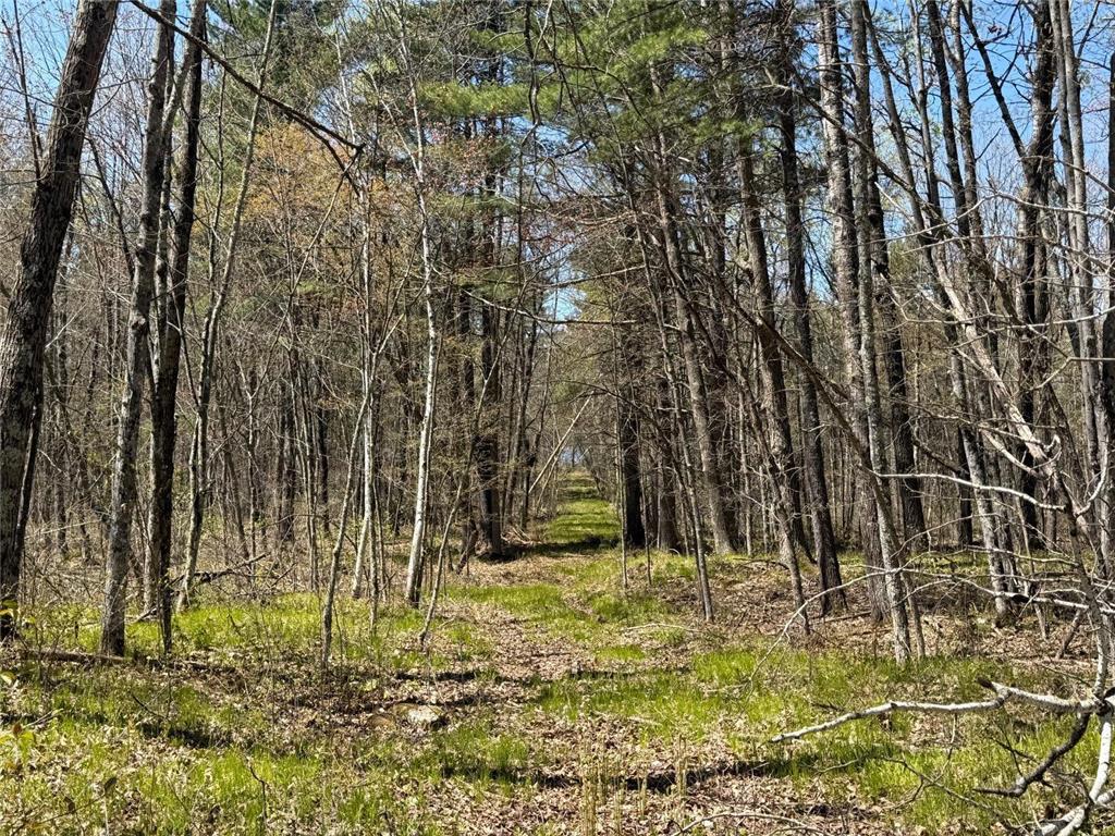 N10439 Tranus Lake Road Stinnett Twp WI 54875 - Tranus Lake 7072648 image14