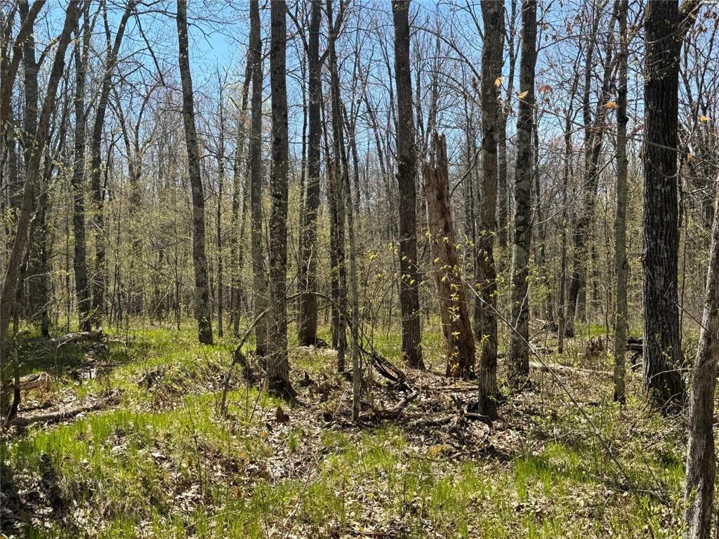 N10439 Tranus Lake Road Stinnett Twp WI 54875 - Tranus Lake 7072648 image15