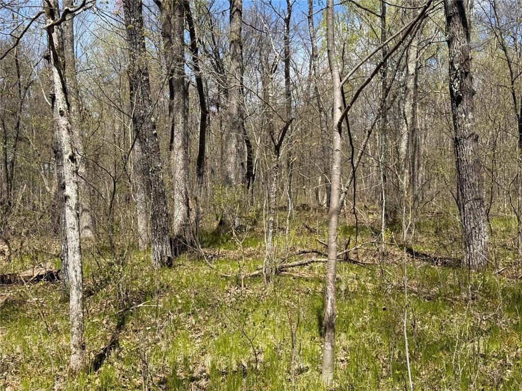 N10439 Tranus Lake Road Stinnett Twp WI 54875 - Tranus Lake 7072648 image16