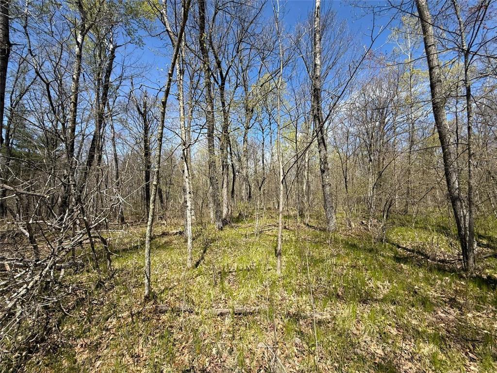 N10439 Tranus Lake Road Stinnett Twp WI 54875 - Tranus Lake 7072648 image17