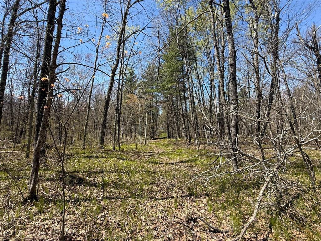 N10439 Tranus Lake Road Stinnett Twp WI 54875 - Tranus Lake 7072648 image18