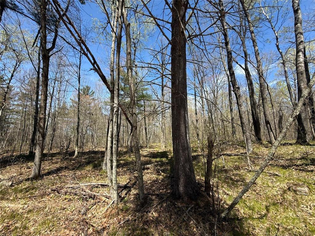 N10439 Tranus Lake Road Stinnett Twp WI 54875 - Tranus Lake 7072648 image21
