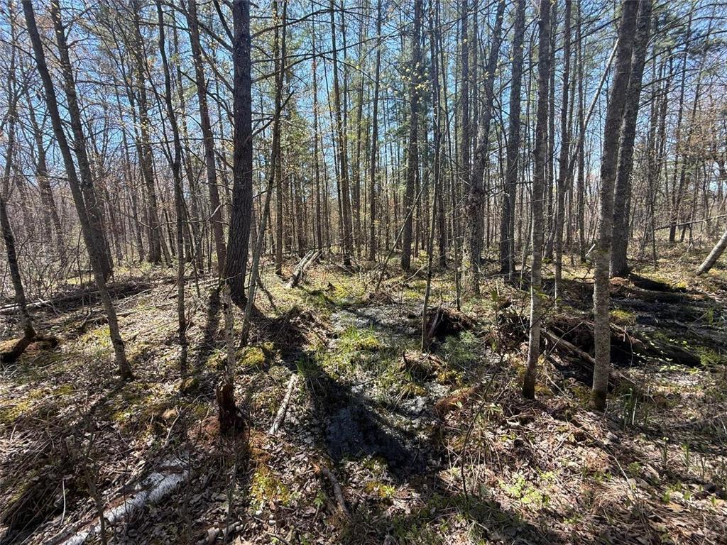 N10439 Tranus Lake Road Stinnett Twp WI 54875 - Tranus Lake 7072648 image22