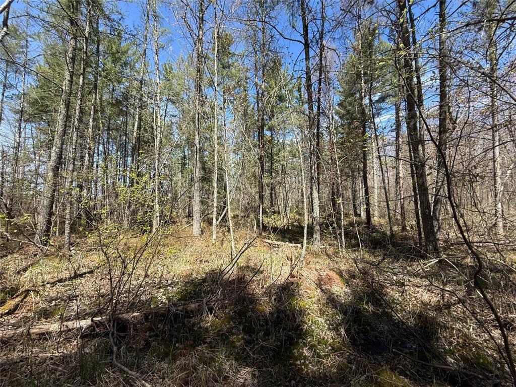 N10439 Tranus Lake Road Stinnett Twp WI 54875 - Tranus Lake 7072648 image23
