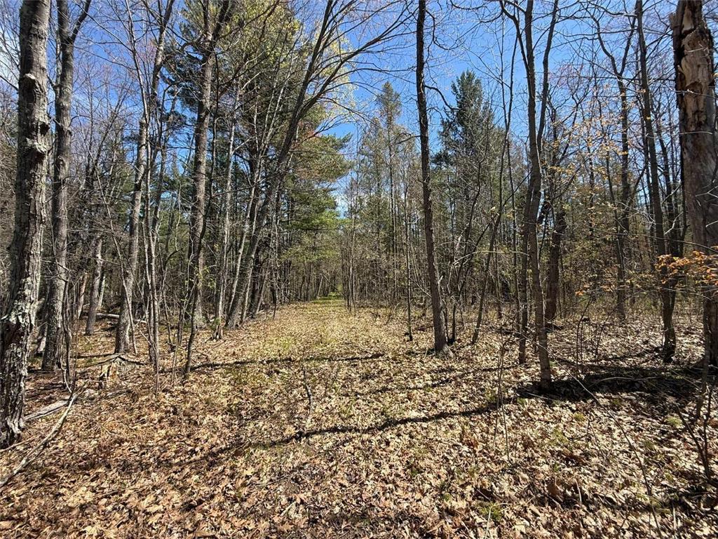 N10439 Tranus Lake Road Stinnett Twp WI 54875 - Tranus Lake 7072648 image27