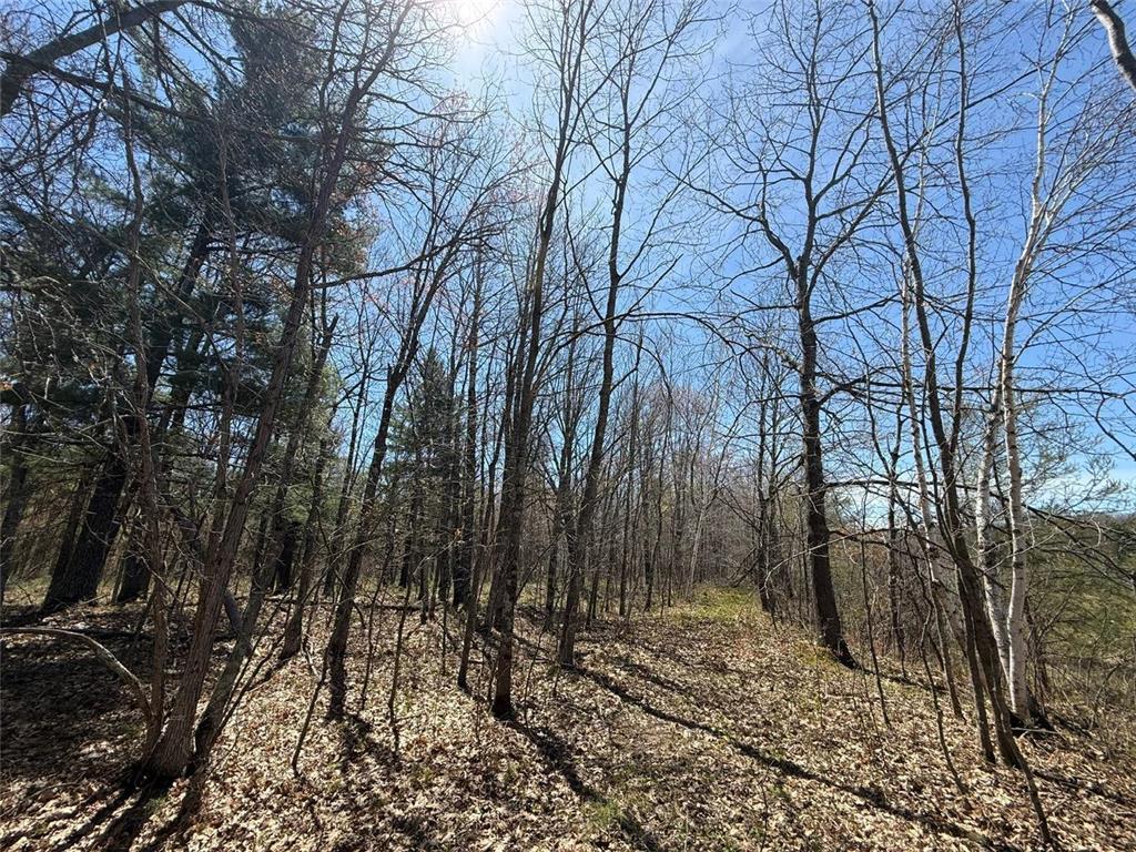 N10439 Tranus Lake Road Stinnett Twp WI 54875 - Tranus Lake 7072648 image28
