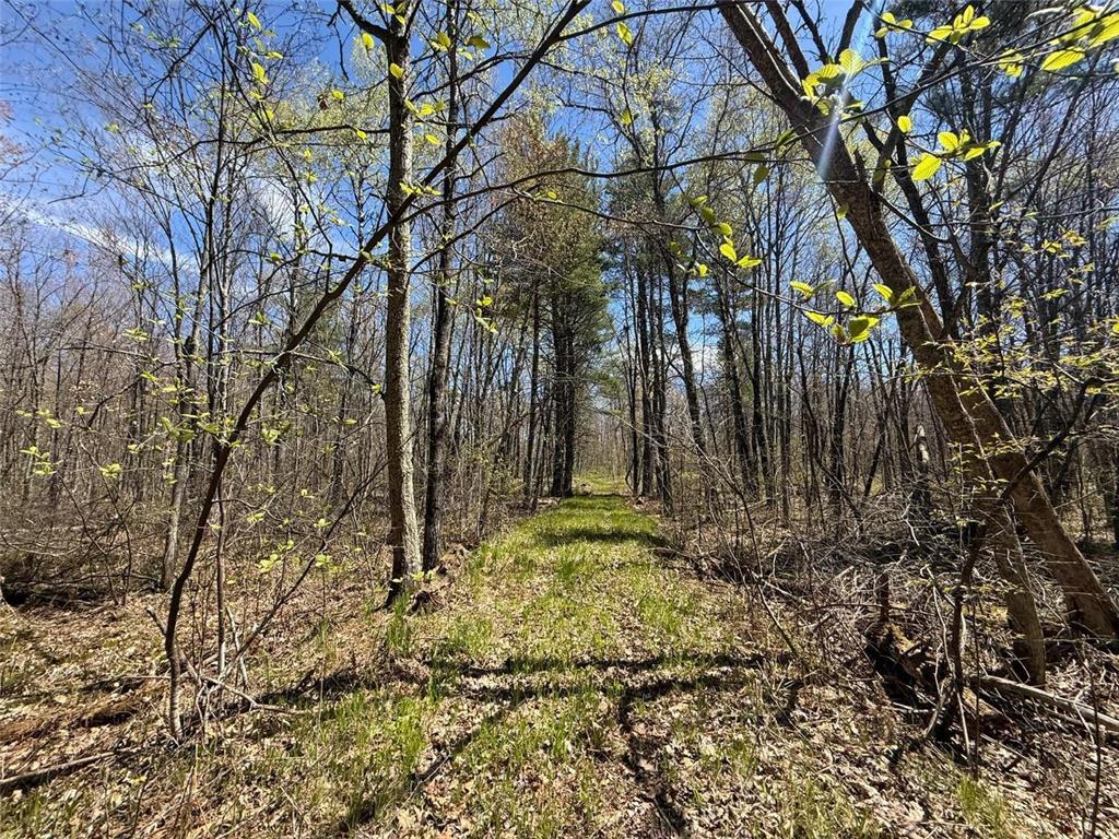 N10439 Tranus Lake Road Stinnett Twp WI 54875 - Tranus Lake 7072648 image31
