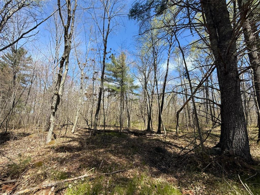 N10439 Tranus Lake Road Stinnett Twp WI 54875 - Tranus Lake 7072648 image32
