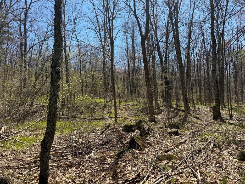 N10439 Tranus Lake Road Stinnett Twp WI 54875 - Tranus Lake 7072648 image34