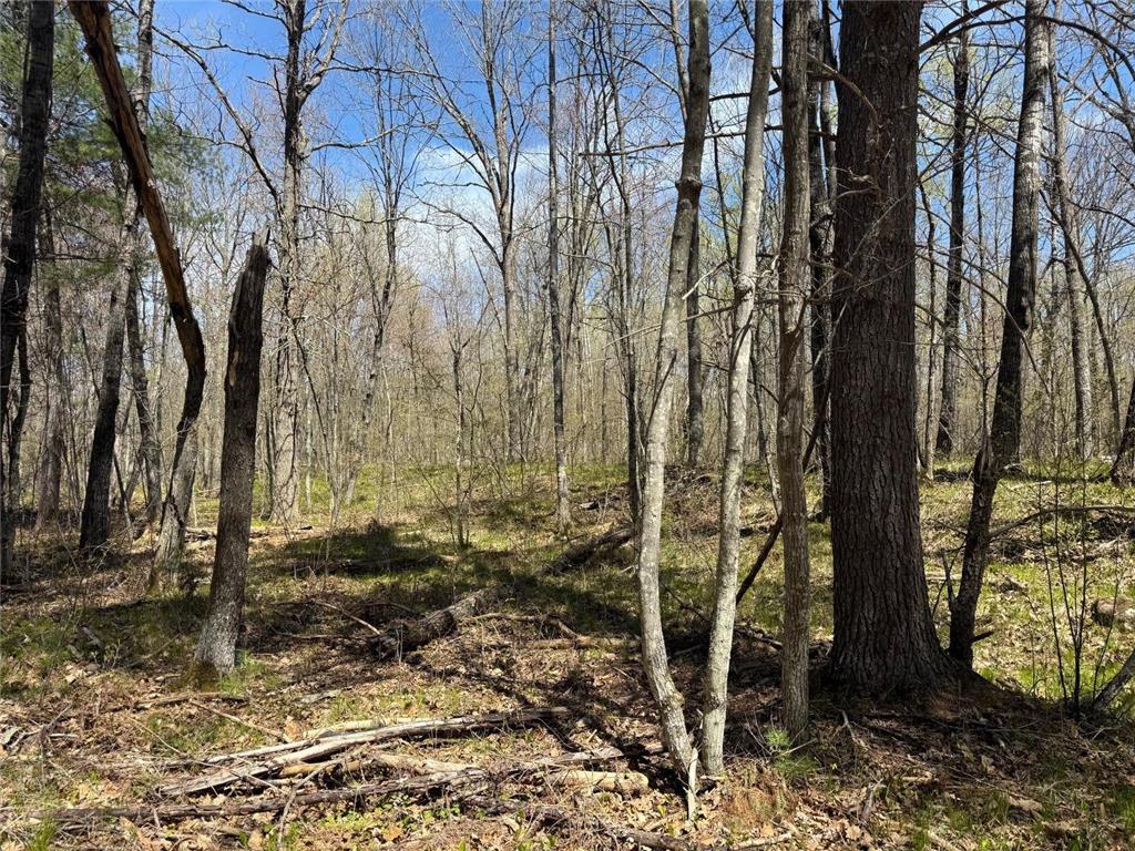 N10439 Tranus Lake Road Stinnett Twp WI 54875 - Tranus Lake 7072648 image35
