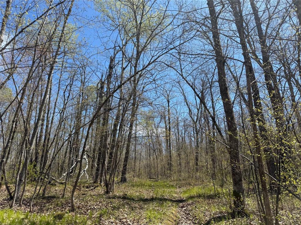 N10439 Tranus Lake Road Stinnett Twp WI 54875 - Tranus Lake 7072648 image36