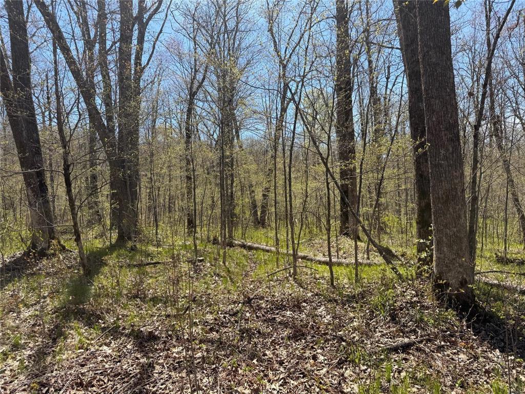 N10439 Tranus Lake Road Stinnett Twp WI 54875 - Tranus Lake 7072648 image37