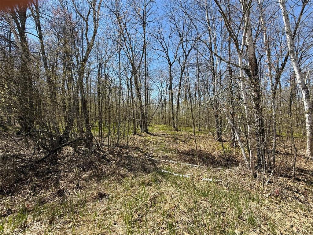 N10439 Tranus Lake Road Stinnett Twp WI 54875 - Tranus Lake 7072648 image6