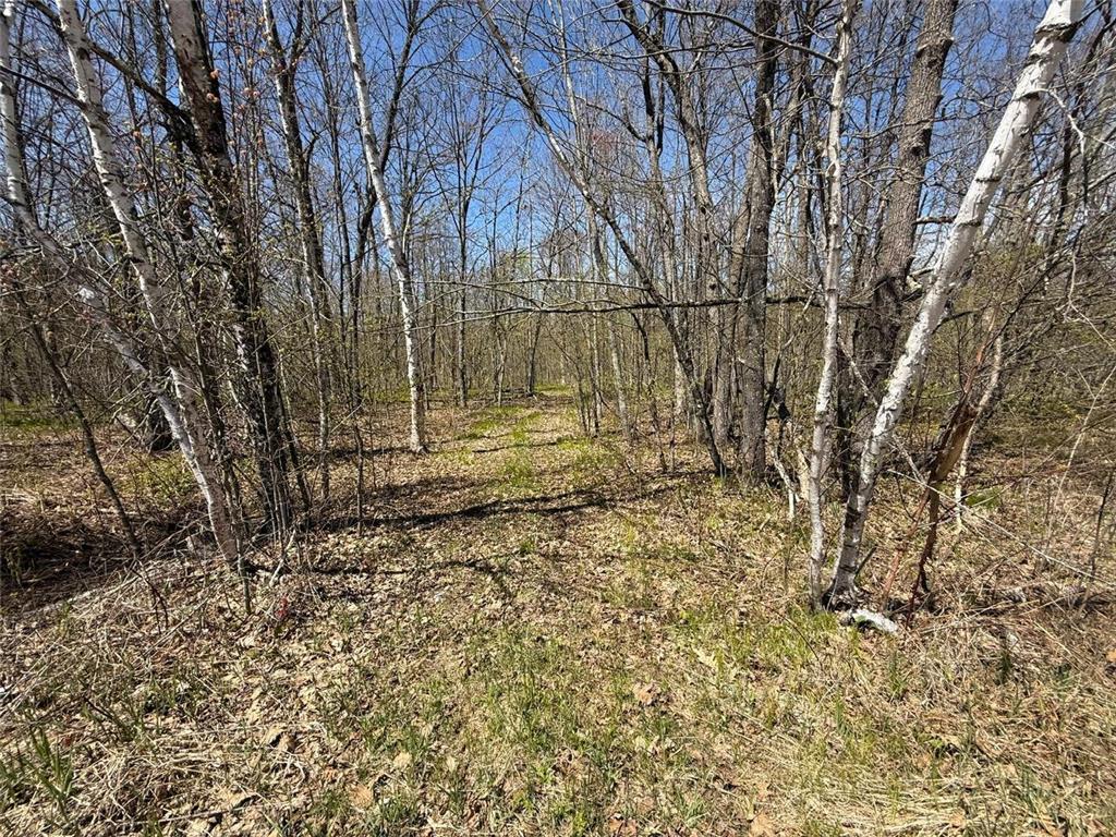 N10439 Tranus Lake Road Stinnett Twp WI 54875 - Tranus Lake 7072648 image7
