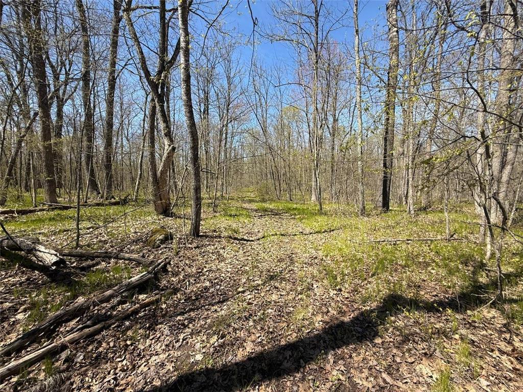 N10439 Tranus Lake Road Stinnett Twp WI 54875 - Tranus Lake 7072648 image8