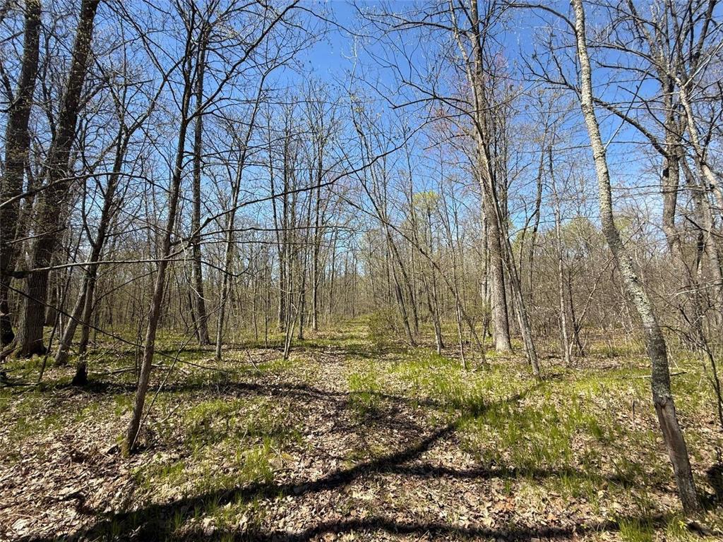 N10439 Tranus Lake Road Stinnett Twp WI 54875 - Tranus Lake 7072648 image9