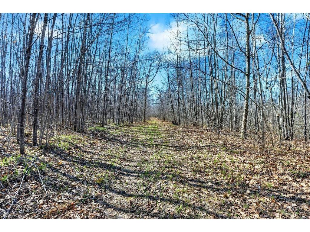 N12499 Brooklyn Road Minong WI 54859 7065351 image16