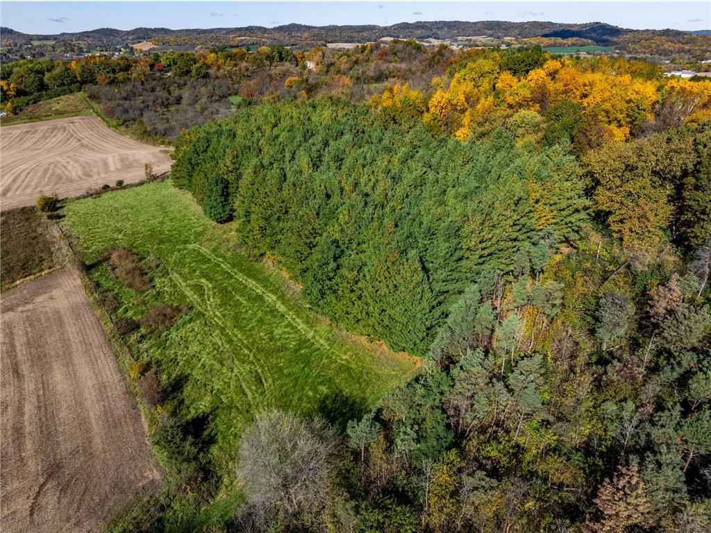 N16450 Hilltop Lane Gale Twp WI 54630 6806928 image10