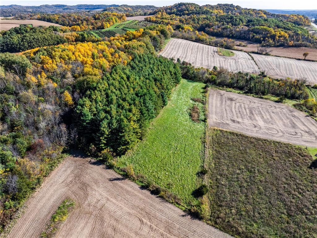 N16450 Hilltop Lane Gale Twp WI 54630 6806928 image8