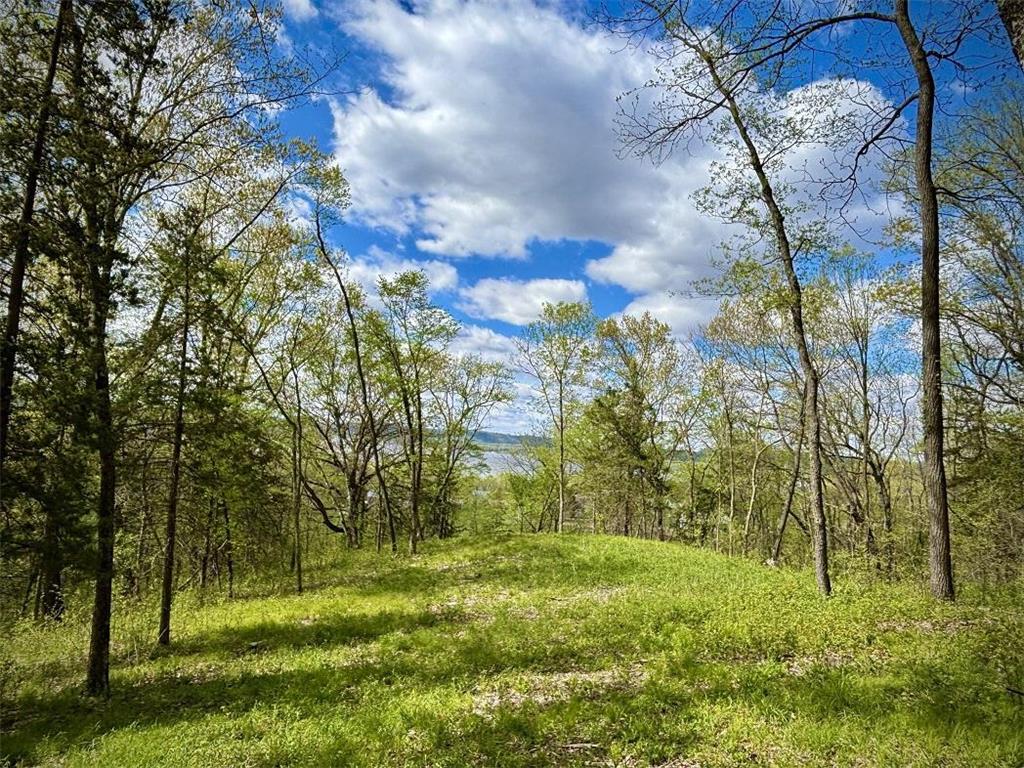 N2095 Twin Bluff Lane Stockholm WI 54769 7073380 image89