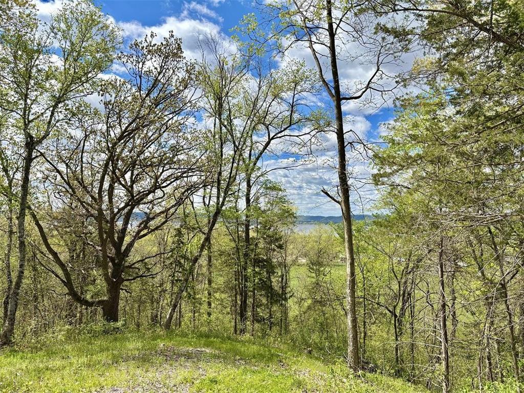 N2095 Twin Bluff Lane Stockholm WI 54769 7073380 image91