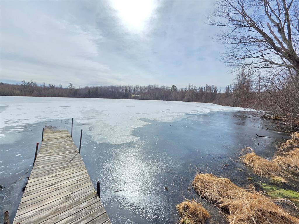 N2180 Pondell Lane W Big Bend Twp WI 54819 - Bog Lake 7018390 image34