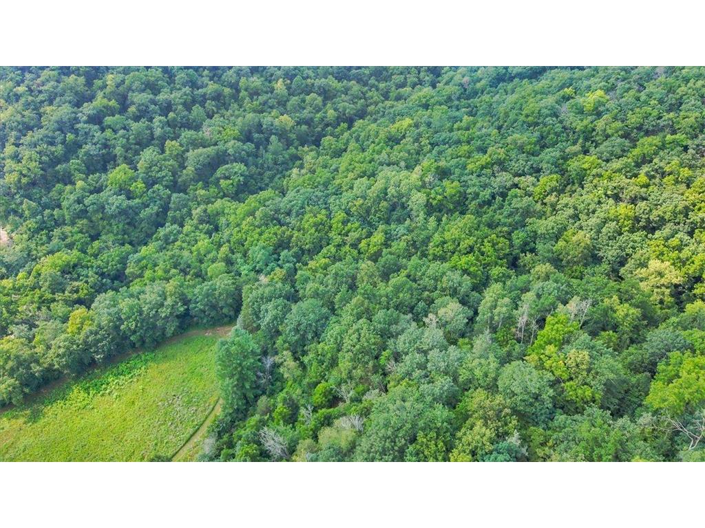  Stockholm WI 54769 - Lake Pepin 7110290 image63