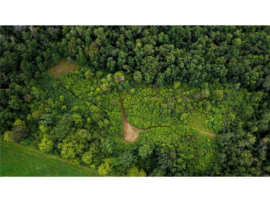 N2512 Back Valley Road Pepin WI 54759 6580925 image1