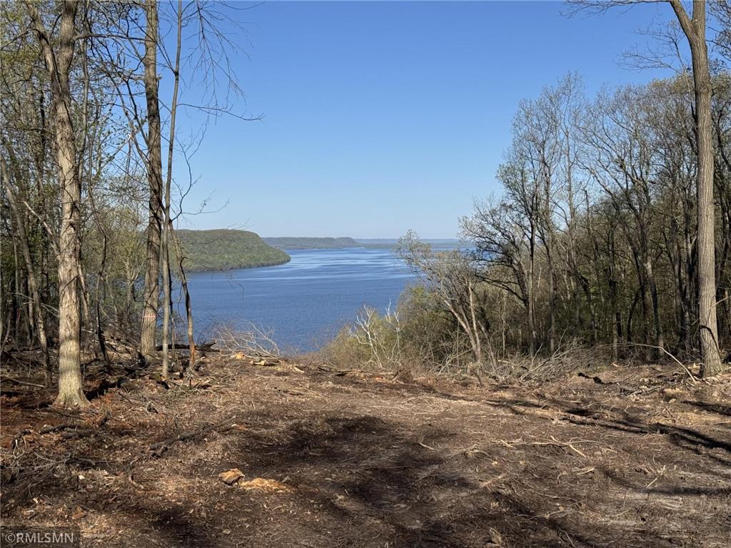 N3463 E Bluff Lane Stockholm WI 54769 - Lake Pepin 7046020 image2