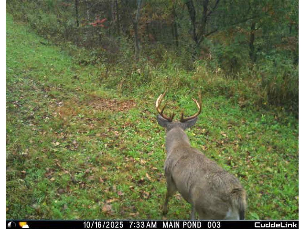 N35194 Przybilla Lane Burnside Twp WI 54747 7050101 image10