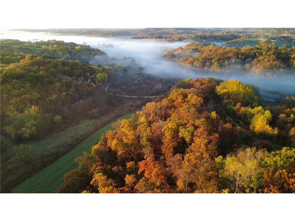 N35194 Przybilla Lane Burnside Twp WI 54747 7050101 image11