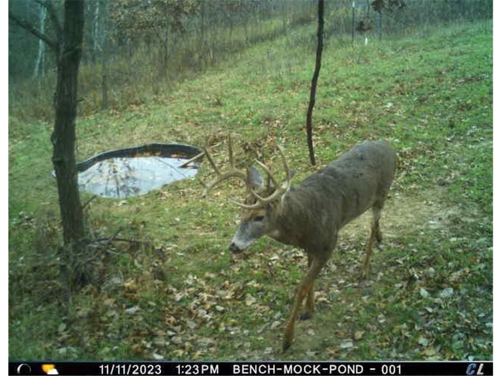 N35194 Przybilla Lane Burnside Twp WI 54747 7050101 image13