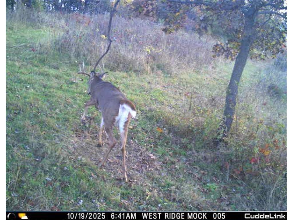 N35194 Przybilla Lane Burnside Twp WI 54747 7050101 image14