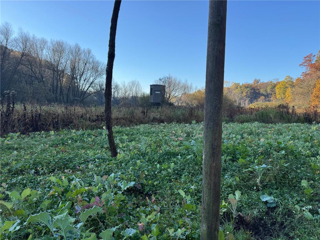 N35194 Przybilla Lane Burnside Twp WI 54747 7050101 image15